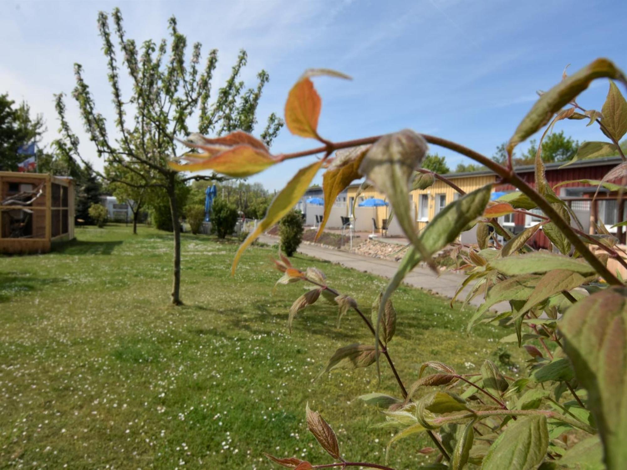 Pretty Apartment In Wiek With Garden Wiek auf Ruegen Exterior photo